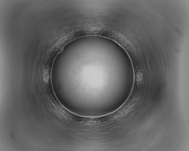 X0000112811204200908211136