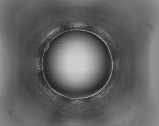 X0000112811205200908211136
