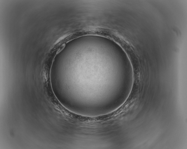X0000112811206200908211136
