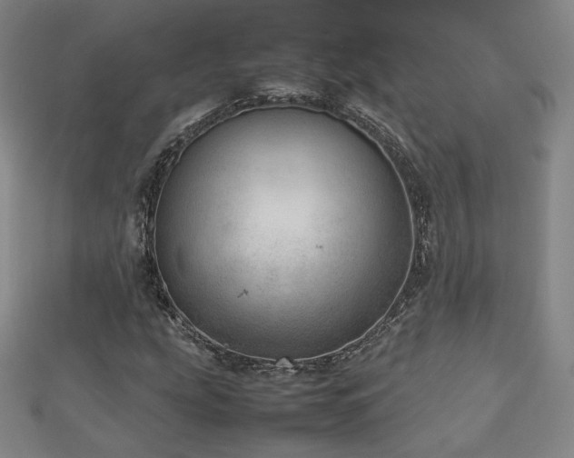 X0000112811207200908211136