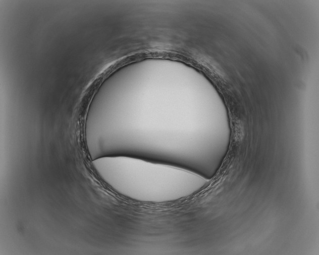 X0000112811208200908211136