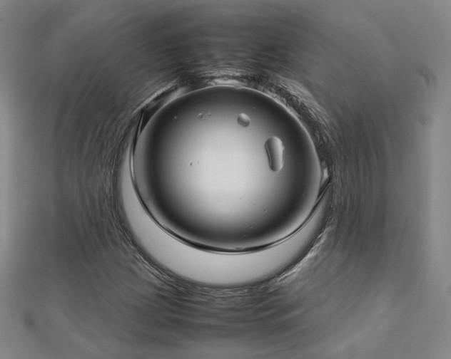 X0000112811209200908211136