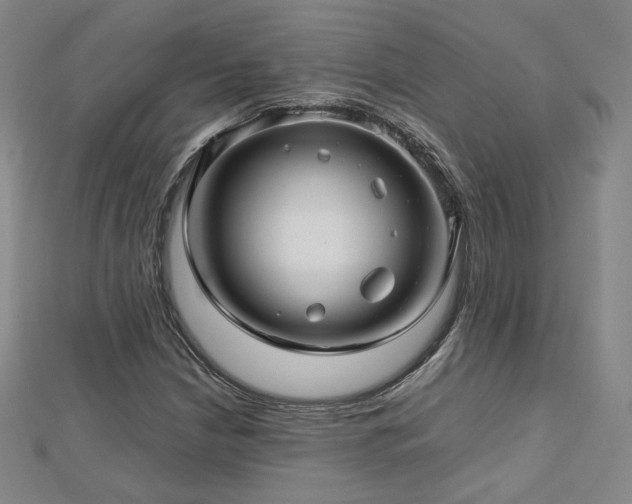 X0000112811210200908211136