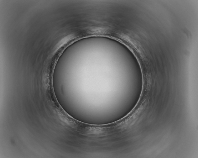 X0000112811211200908211136
