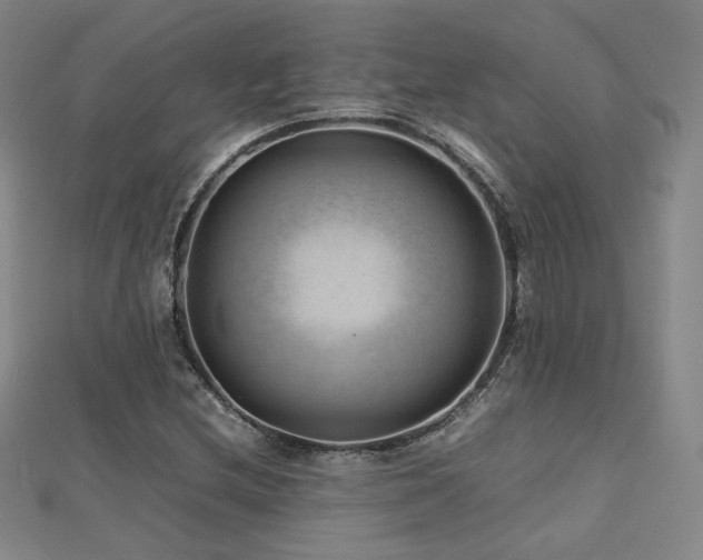 X0000112811212200908211136