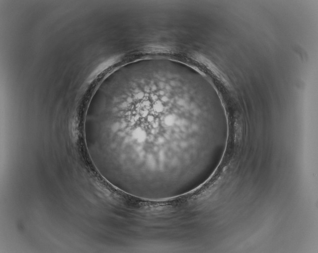 X0000112811213200908211136