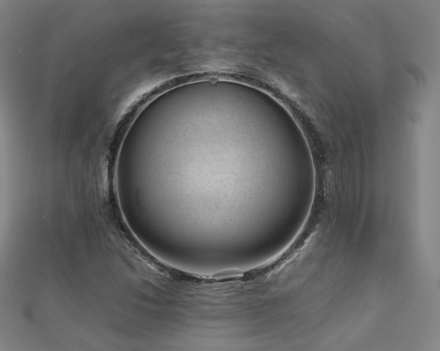 X0000112811214200908211137