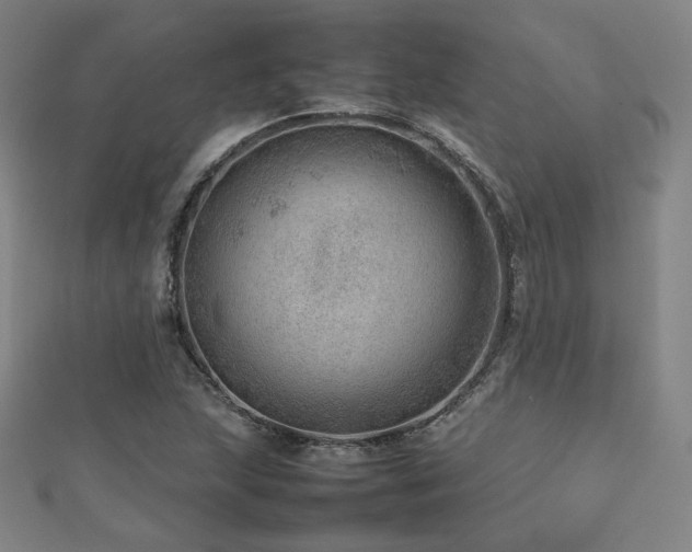 X0000112811215200908211137