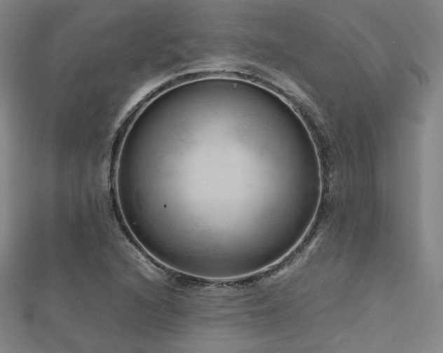 X0000112811216200908211137