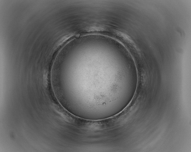 X0000112811217200908211137