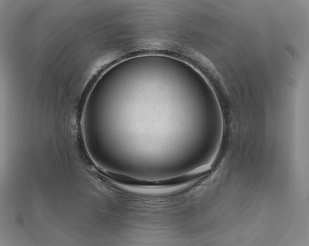 X0000112811218200908211137