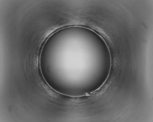 X0000112811220200908211137