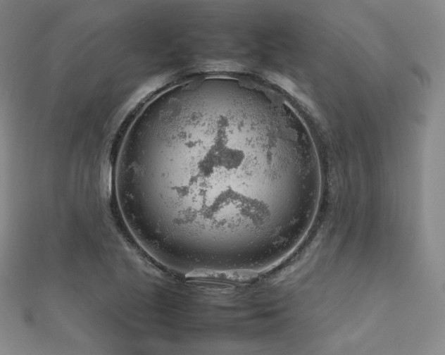 X0000112811221200908211137