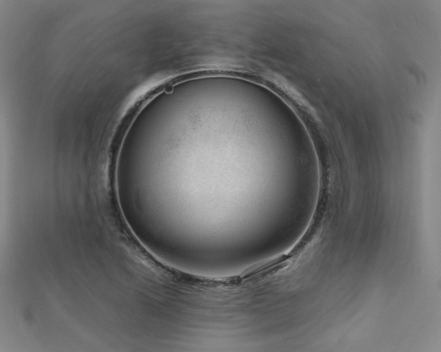 X0000112811222200908211137