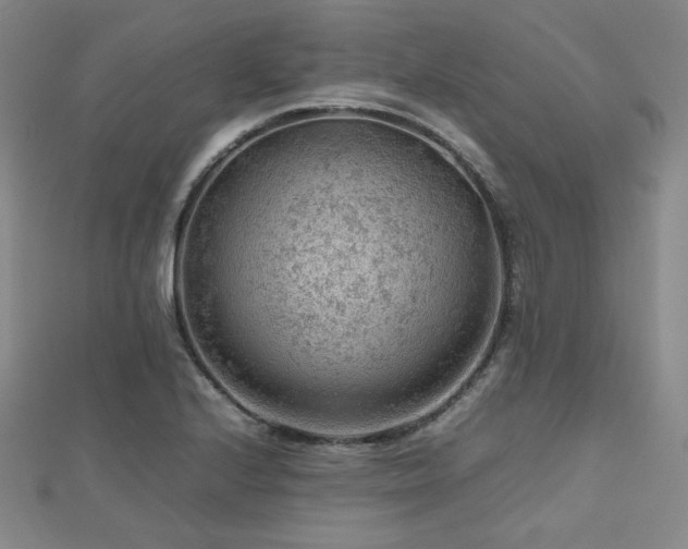 X0000112811224200908211137