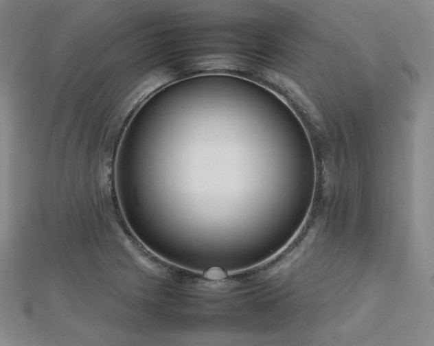 X0000112811225200908211137