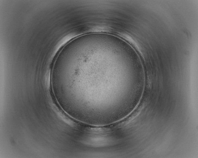 X0000112811227200908211137