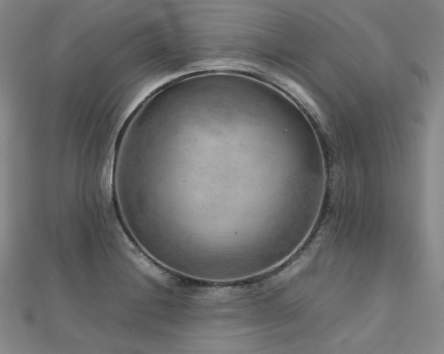 X0000112811228200908211137