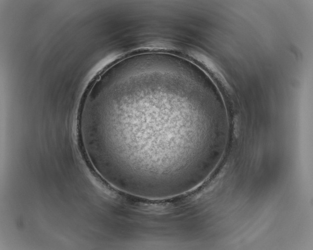 X0000112811229200908211137