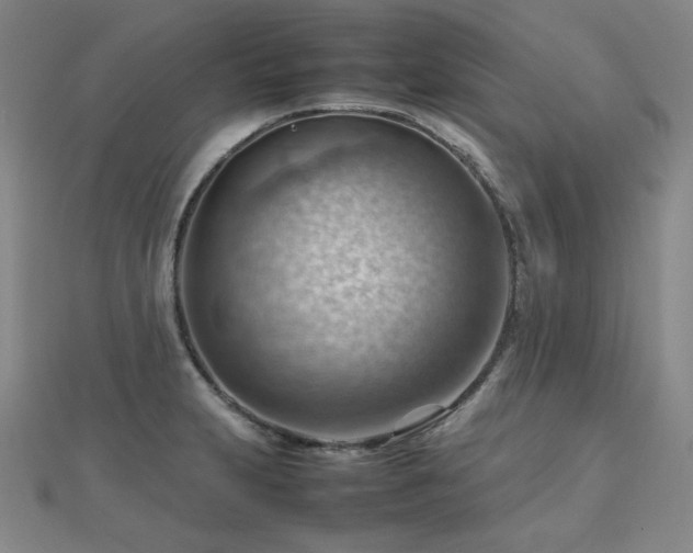 X0000112811231200908211137