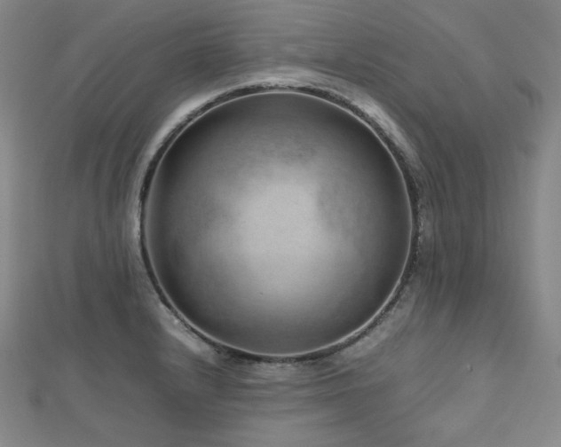 X0000112811232200908211137