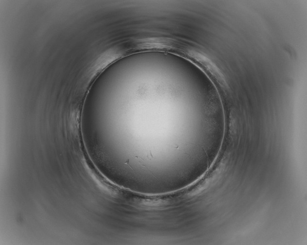 X0000112811233200908211137