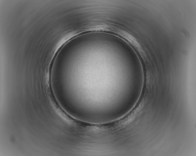 X0000112811234200908211137