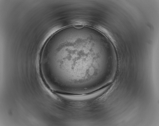 X0000112811235200908211137