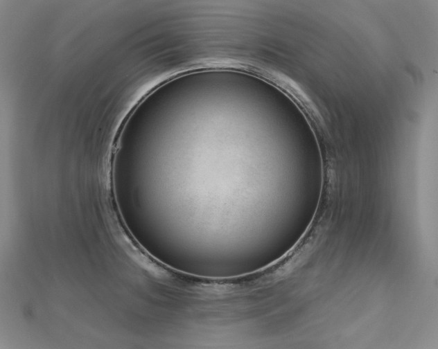 X0000112811236200908211137