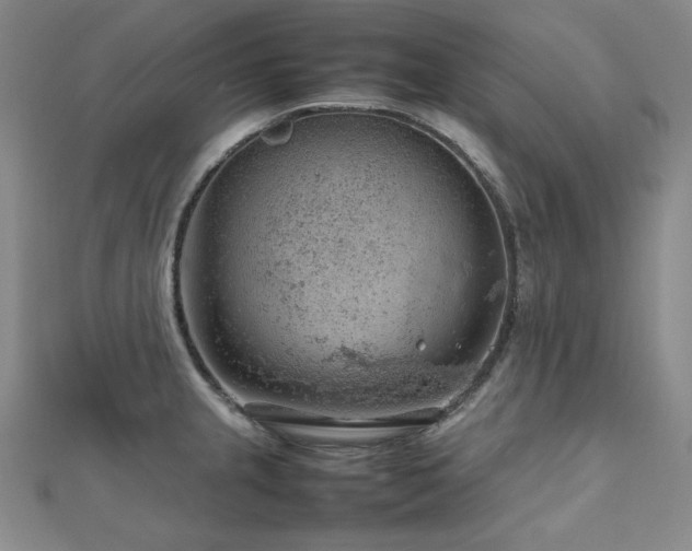 X0000112811237200908211137