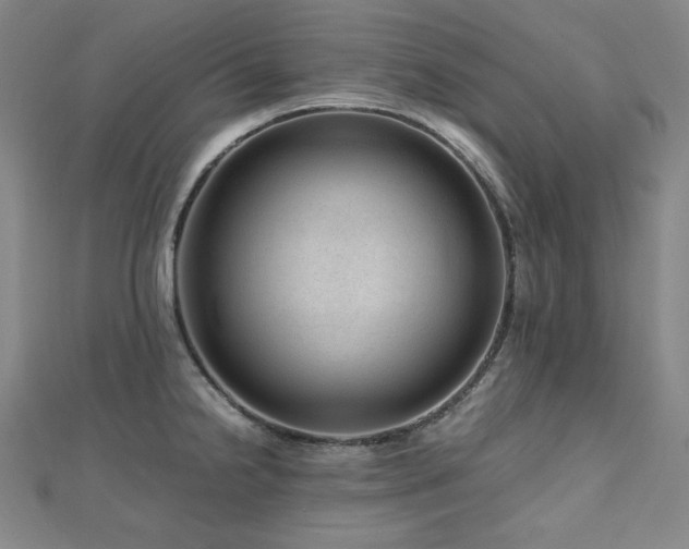 X0000112811238200908211137