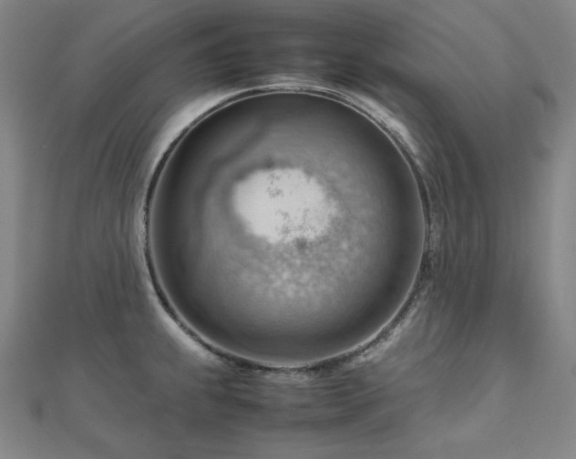 X0000112811239200908211137
