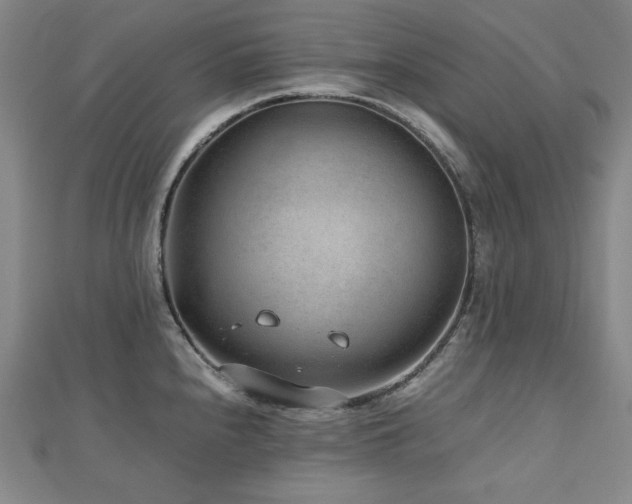 X0000112811240200908211137