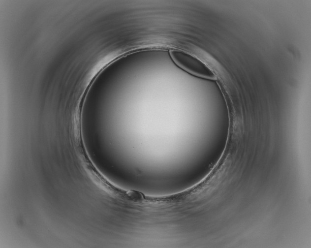 X0000112811242200908211137