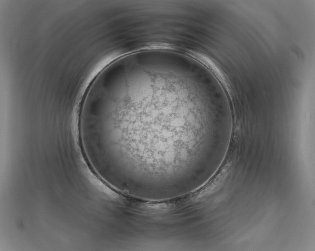 X0000112811243200908211137