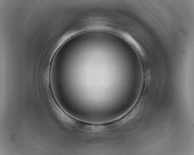 X0000112811244200908211137