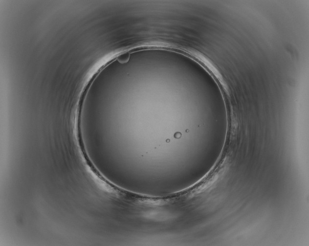 X0000112811245200908211137
