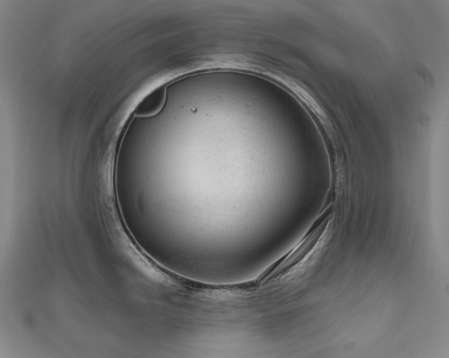 X0000112811246200908211137
