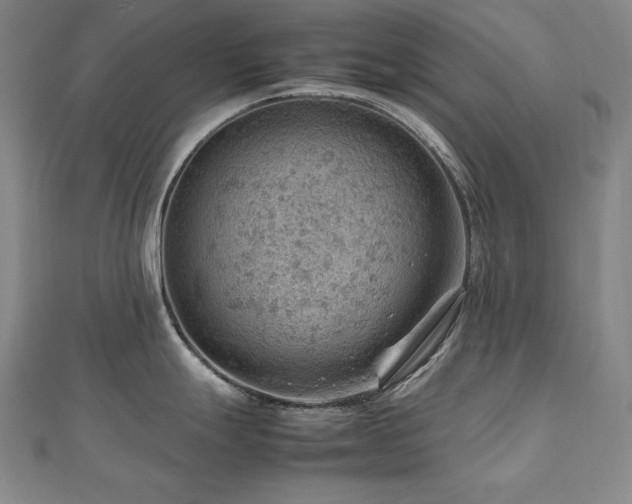 X0000112811247200908211137
