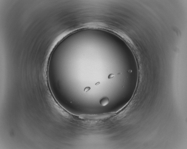 X0000112811248200908211137