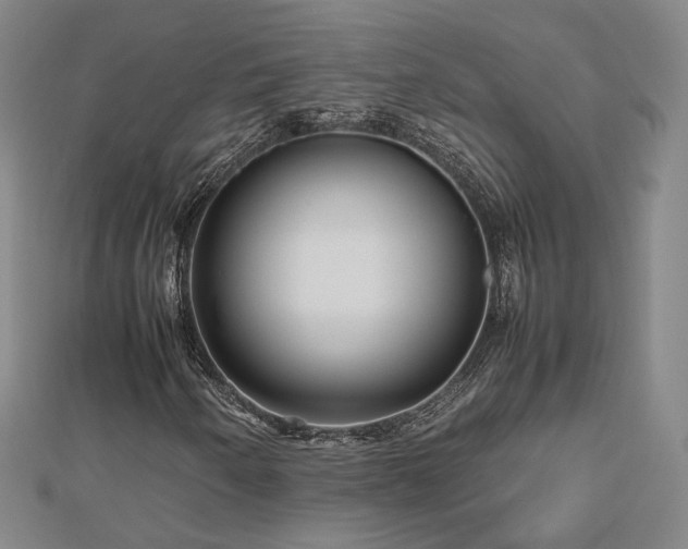X0000112811250200908211136