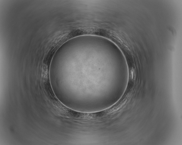 X0000112811251200908211136