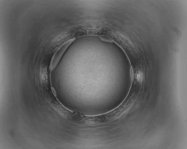 X0000112811252200908211136