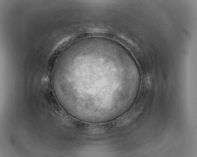X0000112811254200908211136