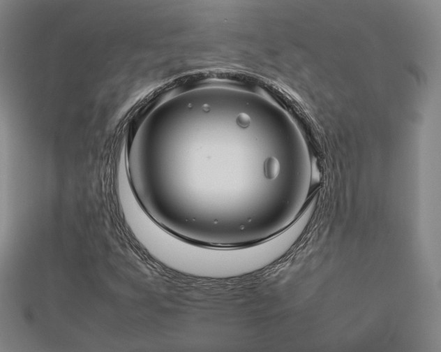 X0000112811255200908211136