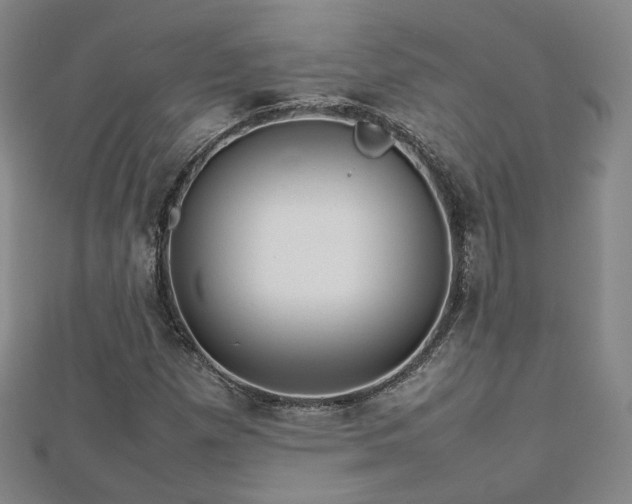 X0000112811257200908211136