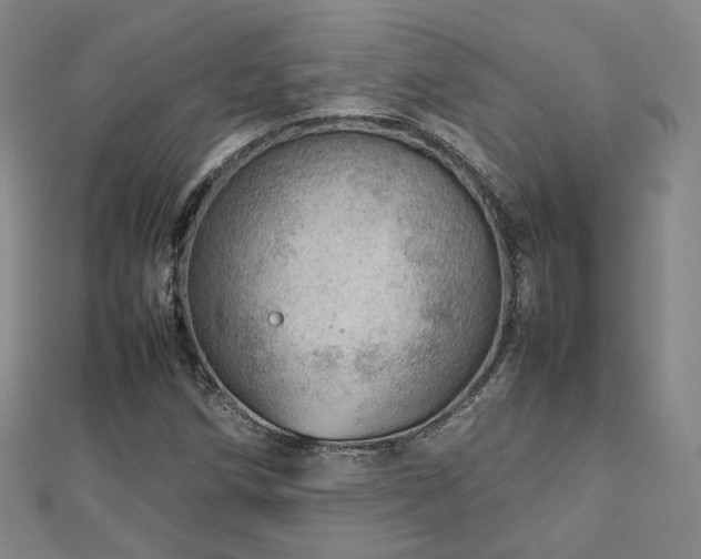 X0000112811258200908211136
