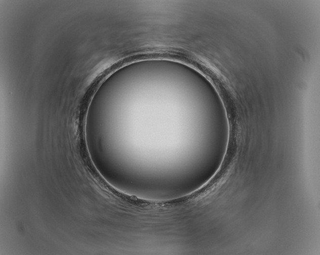 X0000112811259200908211136