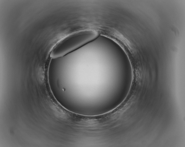 X0000112811260200908211136