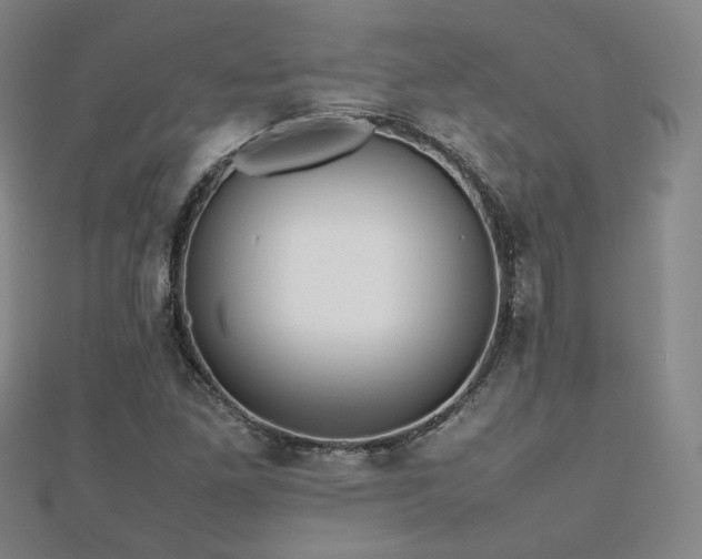 X0000112811261200908211136